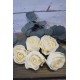 Wood Lena Rose - Plain Rose Wood Lena Rose - Plain Rose