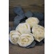 Wood Lena Rose - Plain Rose Wood Lena Rose - Plain Rose