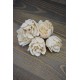 Wood Ava Rose (akash) Wood Ava Rose (akash)