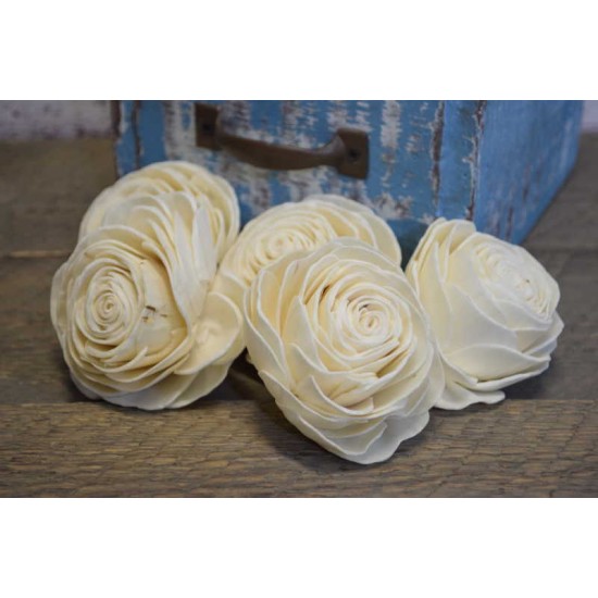 Sola Wood Beauti Rose Sola Wood Beauti Rose