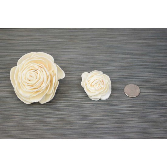 Sola Wood Beauti Rose Sola Wood Beauti Rose