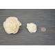 Sola Wood Beauti Rose Sola Wood Beauti Rose