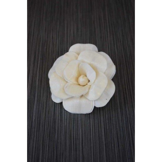 Sola Wood Camelia Flowers Sola Wood Camelia Flowers