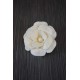 Sola Wood Camelia Flowers Sola Wood Camelia Flowers