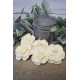 Sola Wood Camelia Flowers Sola Wood Camelia Flowers