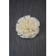 Sola Wood Carnation Flowers Sola Wood Carnation Flowers