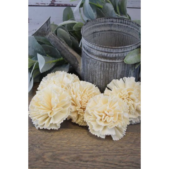 Sola Wood Carnation Flowers Sola Wood Carnation Flowers