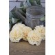 Sola Wood Carnation Flowers Sola Wood Carnation Flowers