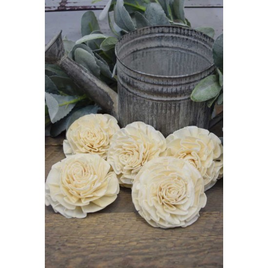 Sola Dahlia Flat Style Sola Dahlia Flat Style