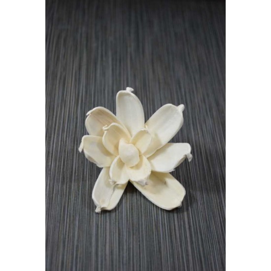 Sola Gardenia Flower Sola Gardenia Flower