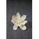 Sola Gardenia Flower