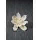 Sola Gardenia Flower Sola Gardenia Flower