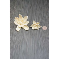 Sola Gardenia Flower