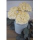 Sola Wood Hydrangea Flower Bouquet