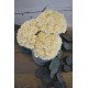 Sola Wood Hydrangea Flower Bouquet