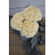 Sola Wood Hydrangea Flower Bouquet Sola Wood Hydrangea Flower Bouquet