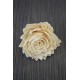 Sola Wood Juhi Flowers Sola Wood Juhi Flowers
