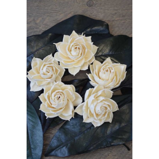 Wood Layla Rose (Agni) Wood Layla Rose (Agni)