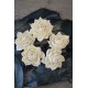 Wood Layla Rose (Agni) Wood Layla Rose (Agni)