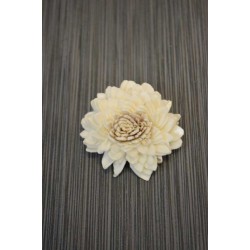 Sola Wood Middle Zinnia