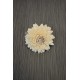 Sola Wood Middle Zinnia Sola Wood Middle Zinnia