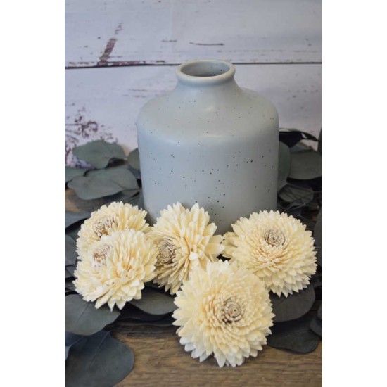 Sola Wood Middle Zinnia Sola Wood Middle Zinnia