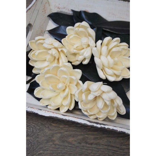 Sola Wood Mini Magnolia Flowers Sola Wood Mini Magnolia Flowers