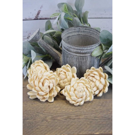Wood Flower New Dahlia - Sola Wood Wood Flower New Dahlia - Sola Wood
