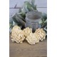 Wood Flower New Dahlia - Sola Wood Wood Flower New Dahlia - Sola Wood
