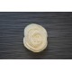 Sola Shell Flower Sola Shell Flower