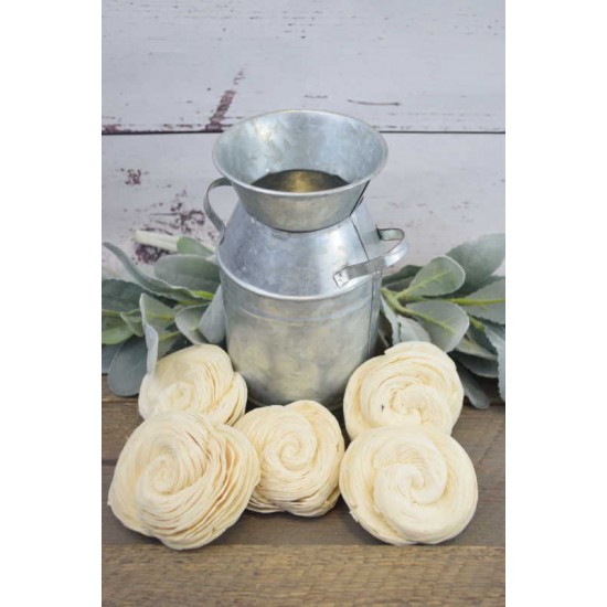 Sola Shell Flower Sola Shell Flower