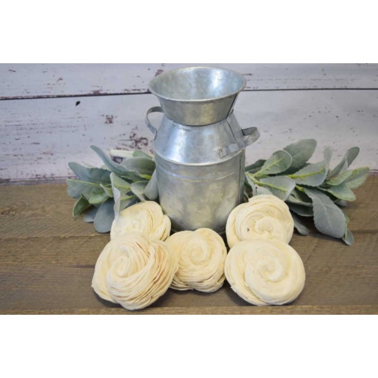 Sola Shell Flower Sola Shell Flower