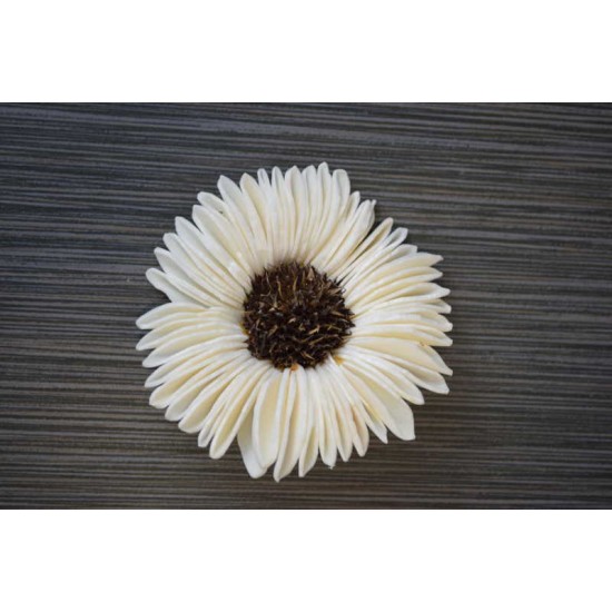 Sola Suzy Wood Flower Sola Suzy Wood Flower