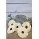 Sola Suzy Wood Flower Sola Suzy Wood Flower
