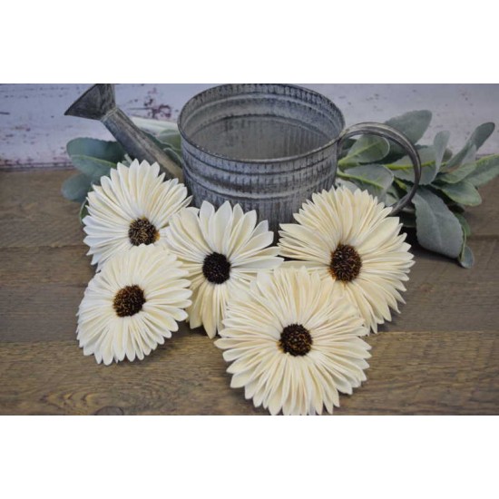 Sola Suzy Wood Flower Sola Suzy Wood Flower