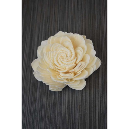Sola Water Lily Sola Water Lily