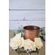 Bombay Wood Rose Bombay Wood Rose