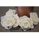 Bombay Wood Rose Bombay Wood Rose