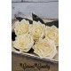 Sola Fota Wood Rose Sola Fota Wood Rose
