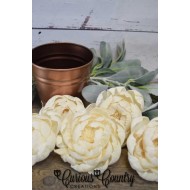 Wood Peony Flowers - Peonies BH 