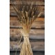 Blackbeard Wheat Bunch - 8oz Blackbeard Wheat Bunch - 8oz