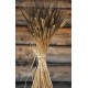 Blackbeard Wheat Bunch - 8oz