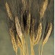 Blackbeard Wheat Bunch - 8oz Blackbeard Wheat Bunch - 8oz