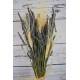 Country Charm Lavender Bouquet
