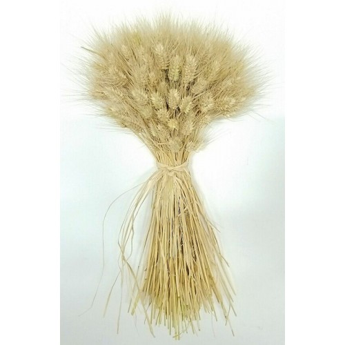 Dried Wheat, Decorative Wedding Wheat, Dry Wheat