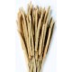 Dried Rattail Millet Dried Rattail Millet