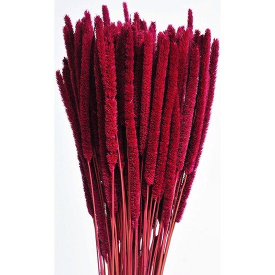 Dried Rattail Millet Dried Rattail Millet