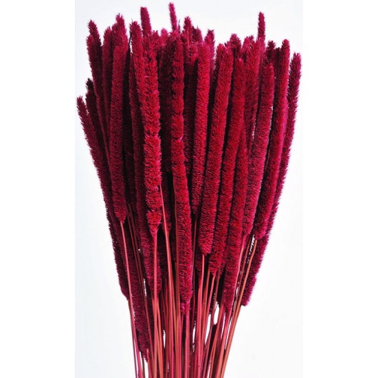 Dried Rattail Millet