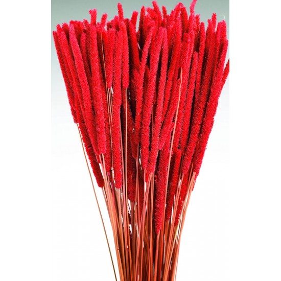 Dried Rattail Millet Dried Rattail Millet