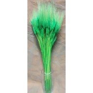 Green Wheat Bundle - Dyed